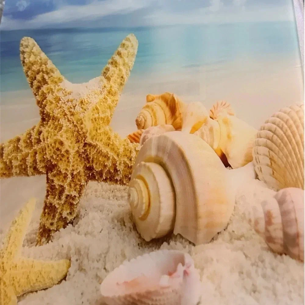 Plastic A4 Clipboards, Cute Clipboard Stardard Letter Size